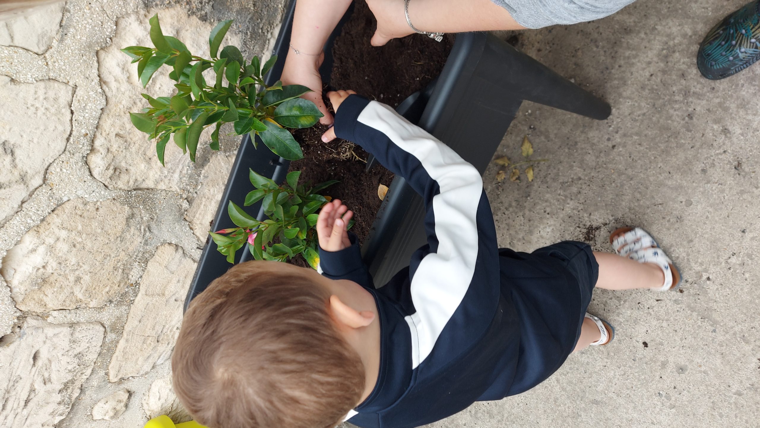 microcreche-pinon-soissons-laon-enfants-extérieur-jardin-potager